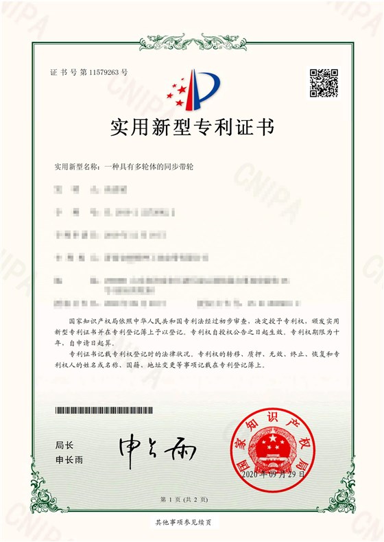 一种具有多轮体的同步带轮-1