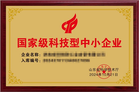 国家级科技型中小企业