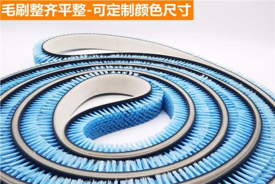 毛刷详情2