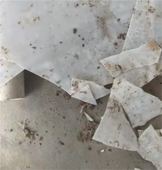 耐寒清粪带-2