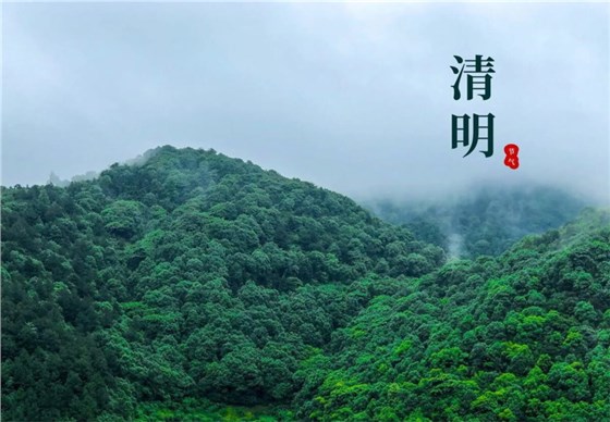 清明节0402-2