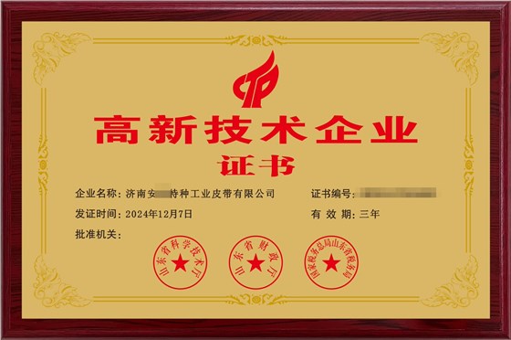 输送带生产厂家高新技术企业