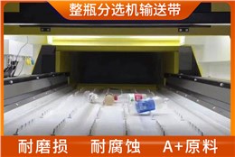 AI整瓶分选机输送带