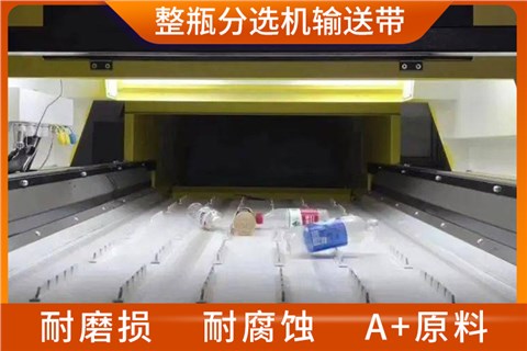 AI整瓶分选机输送带
