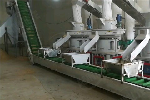 生物质颗粒输送带