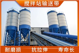 搅拌站输送带