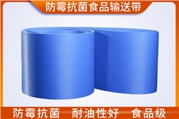防霉抗菌食品输送带