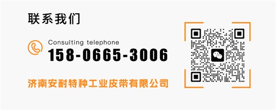 输送带定制3