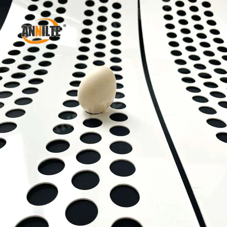 perforated_egg_belt_05_看图王