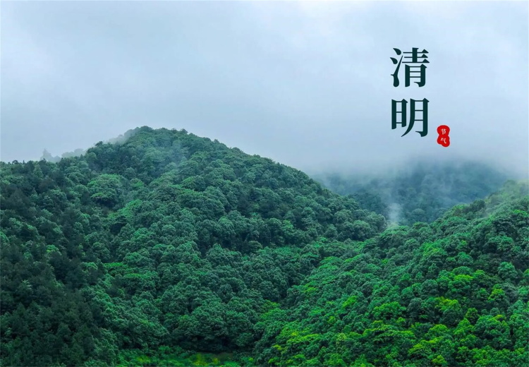 清明节0402-2