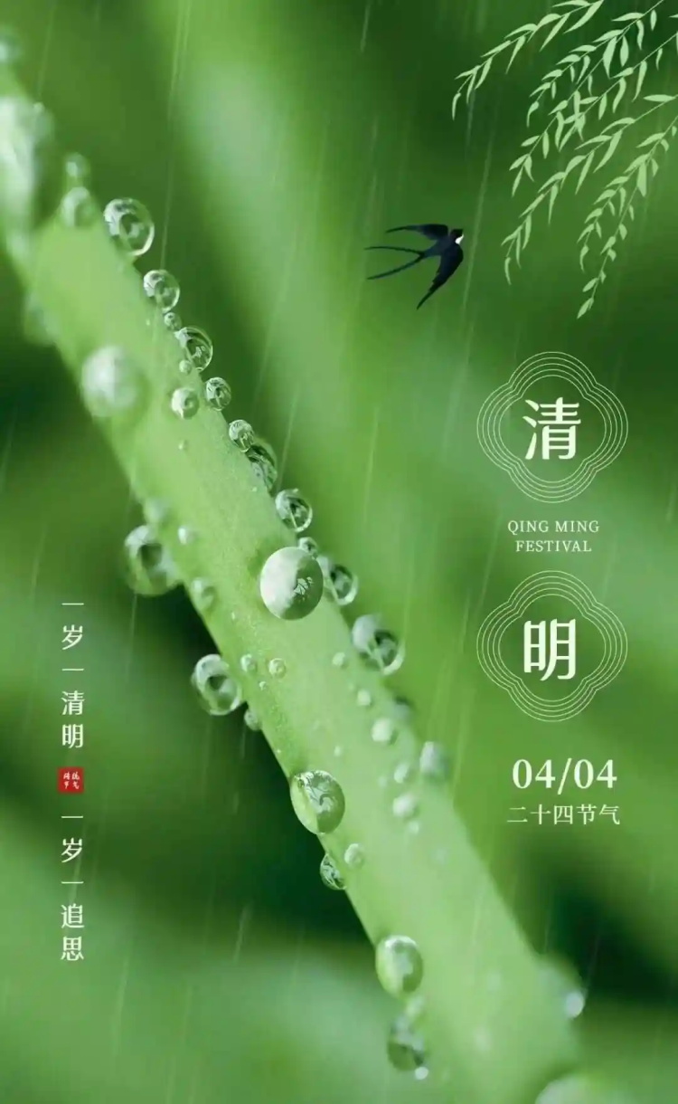 清明节0402-3
