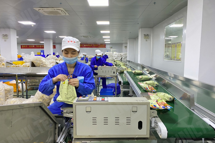 PVC输送带0523-6
