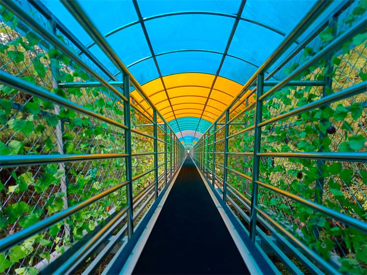 暑期经济-8 暑期经济-8