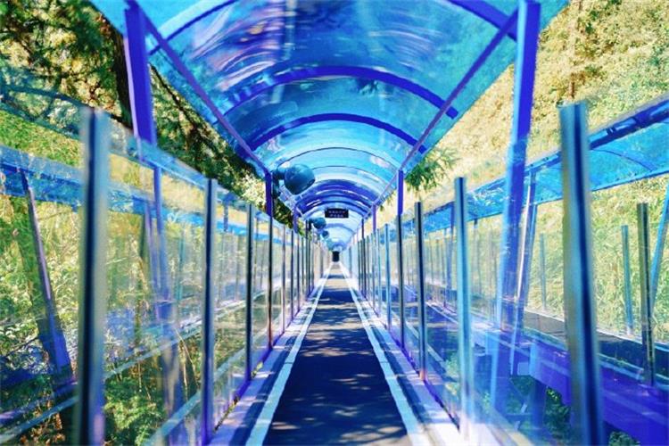 暑期经济-11 暑期经济-11