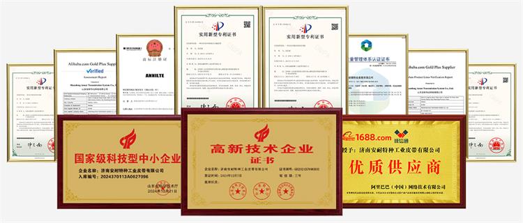 鲁网-7