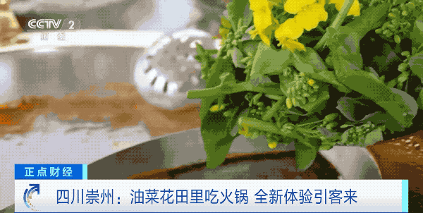 春分-7