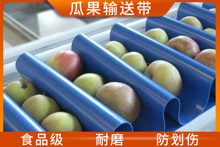 瓜果输送带