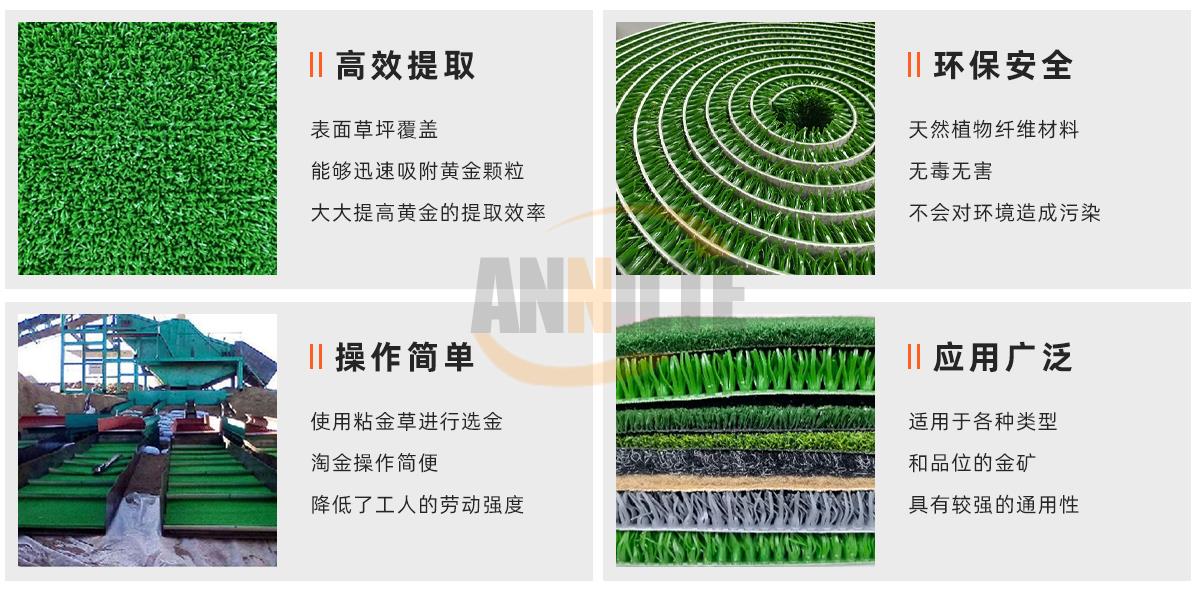 沾金草输送带