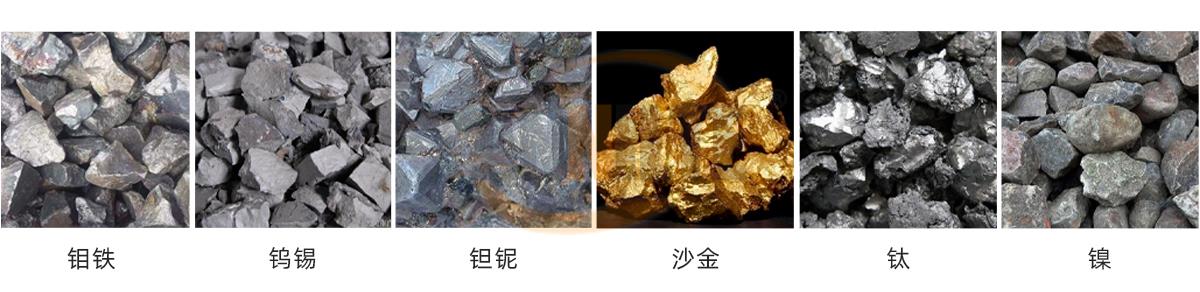 沾金草输送带