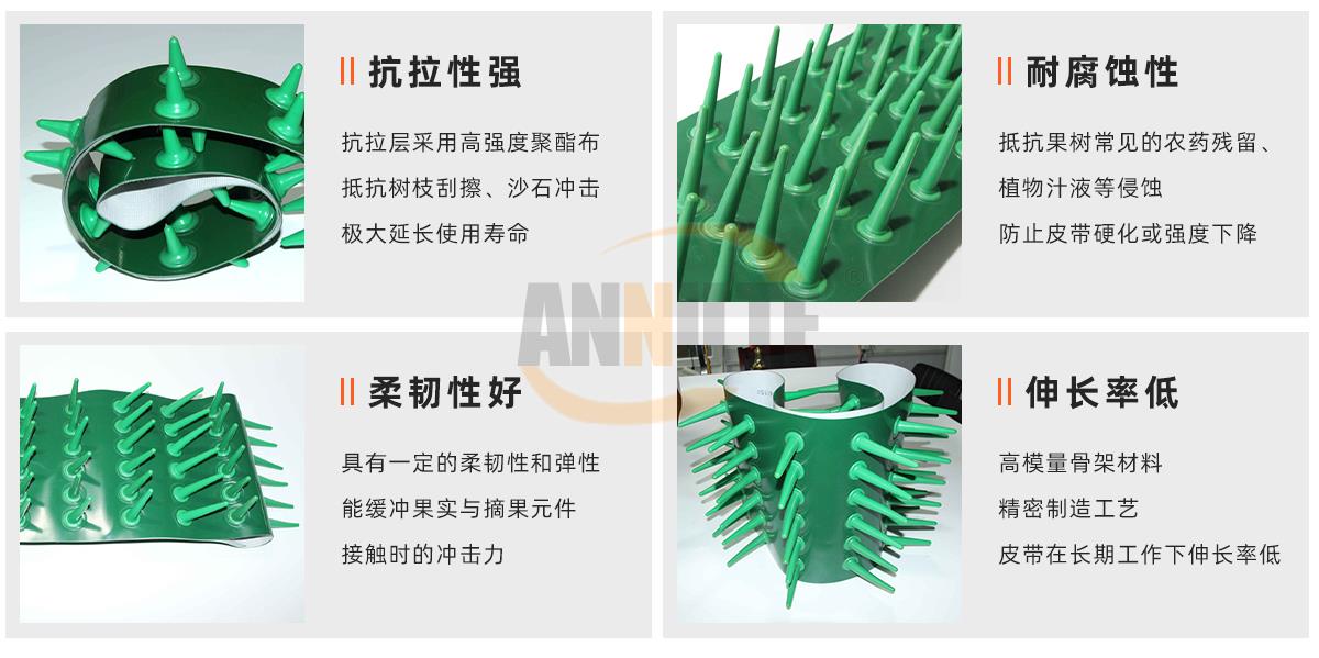 摘果机皮带1_01