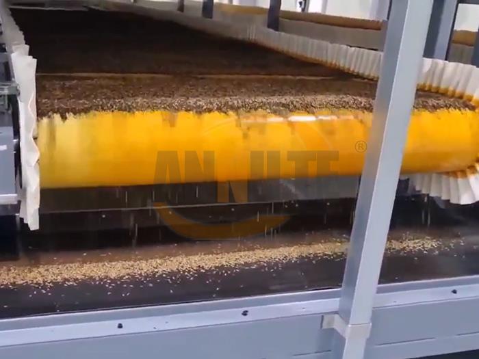 黑水虻输送带 黑水虻输送带