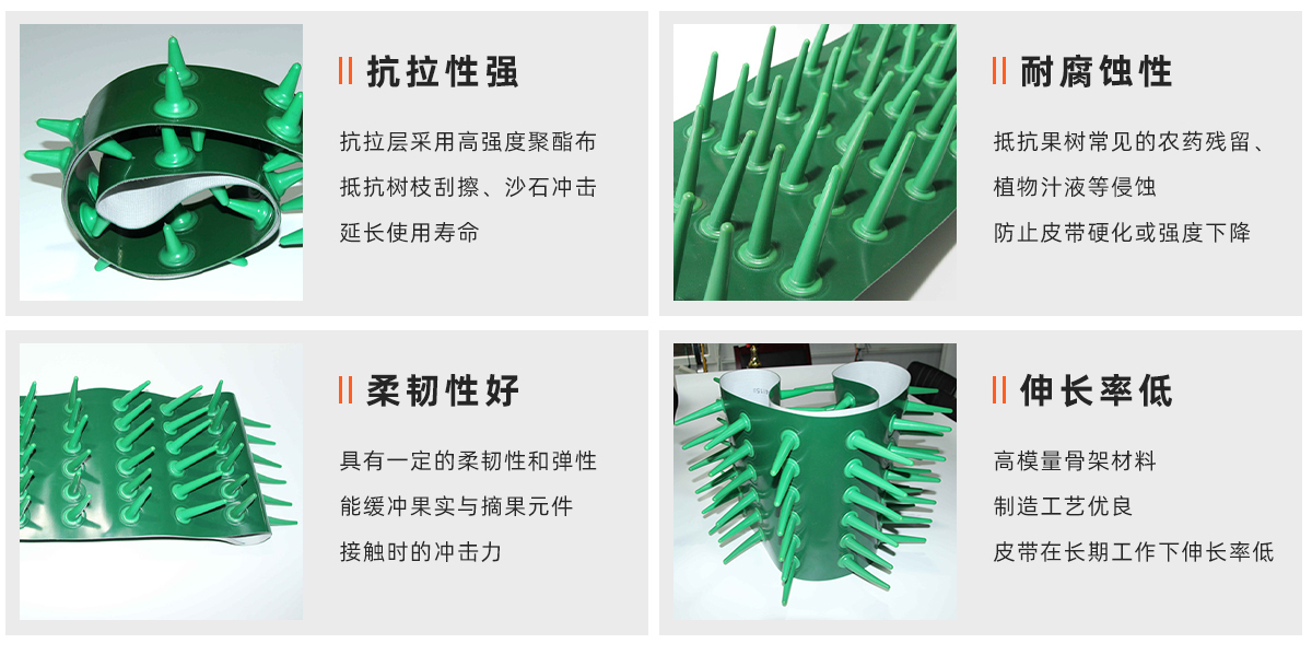 摘果机皮带1_01