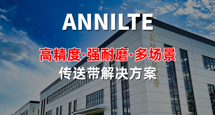 输送带定制1