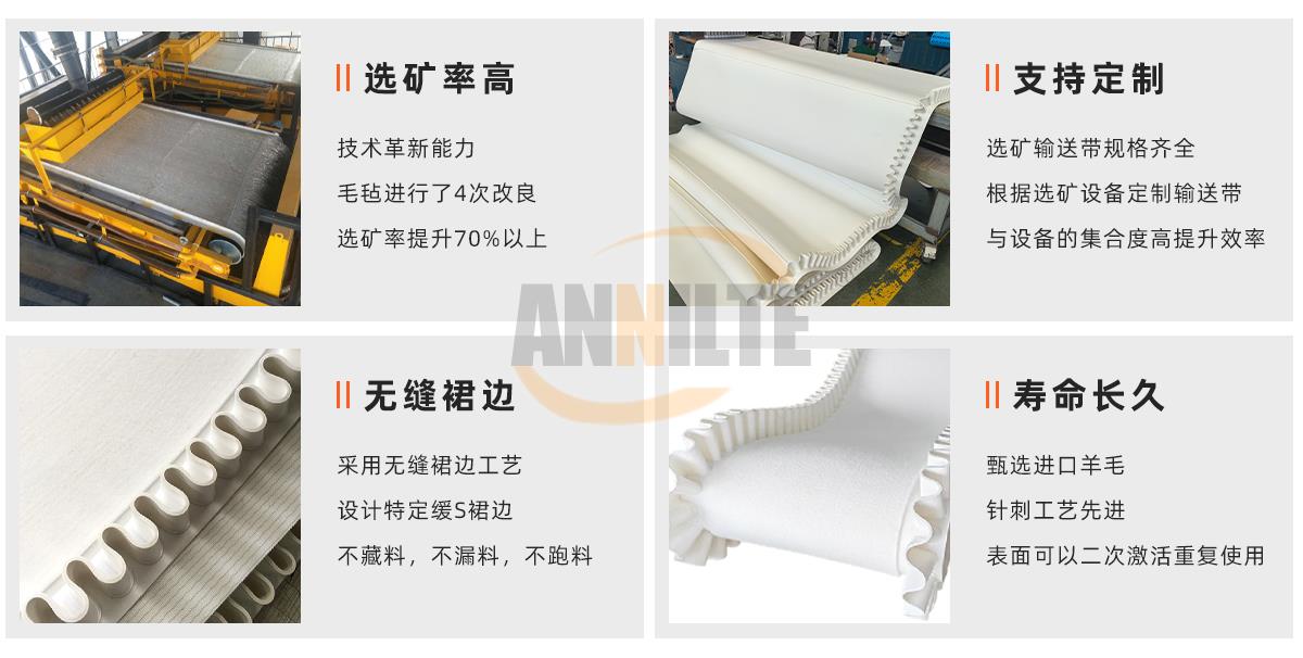 选矿毛毯带