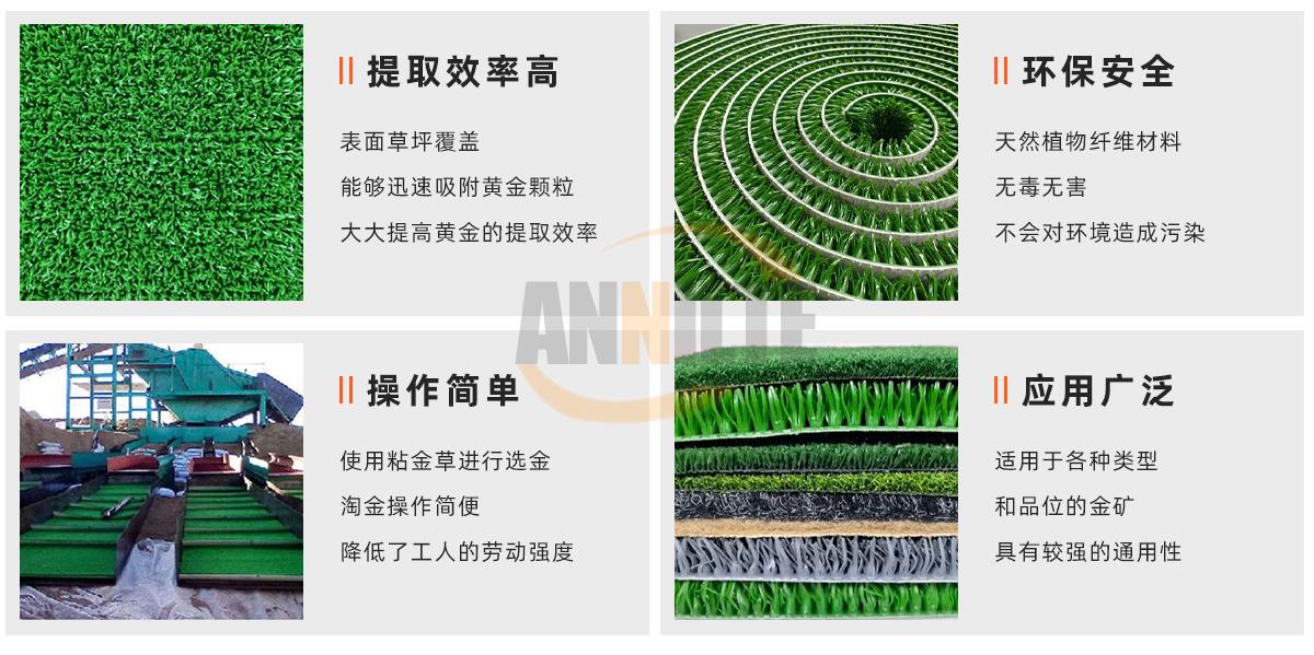 淘金草