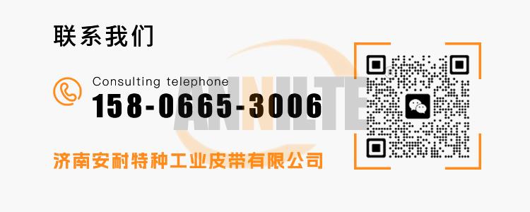 输送带定制3